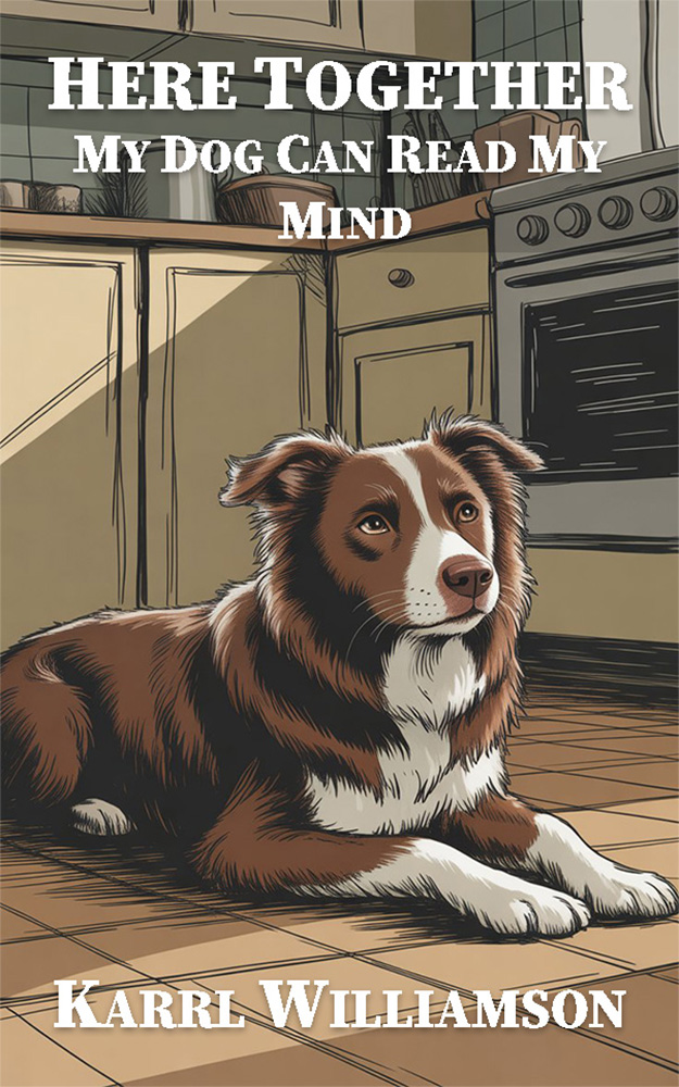 Illustrative book cover 9